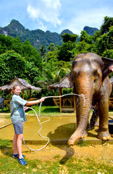 Elefantene setter stor pris på dagens vask. Foto: Mari Bareksten