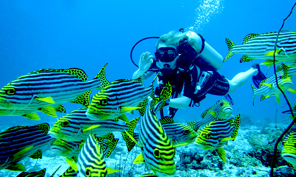 Male-atollen er ikke Maldivenes beste for dykking, men det er mer enn bra nok for noen avslappende turer under vann for å hilse på fargerike triggerfisk, hai, rokker og barracuda. Foto: Ronny Frimann 
