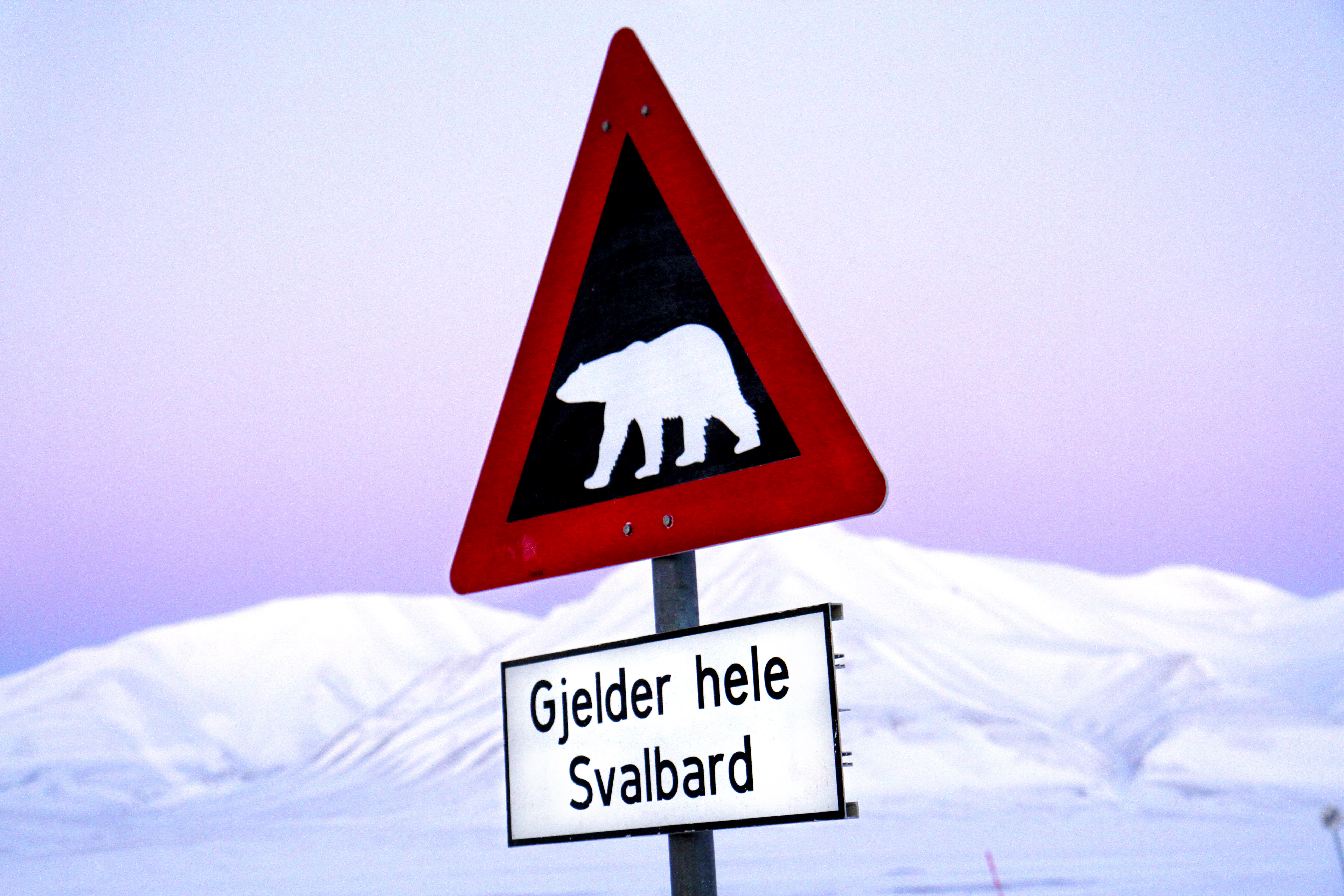 Svalbard er ikke et reisemål som passer alle. Her bor det flere isbjørner enn mennesker. Foto: Runar Larsen