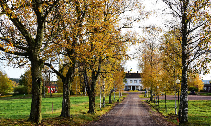 5. Litteratur-tur