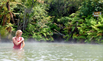 Waitangi Soda Springs