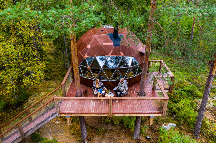 Treehouse dome