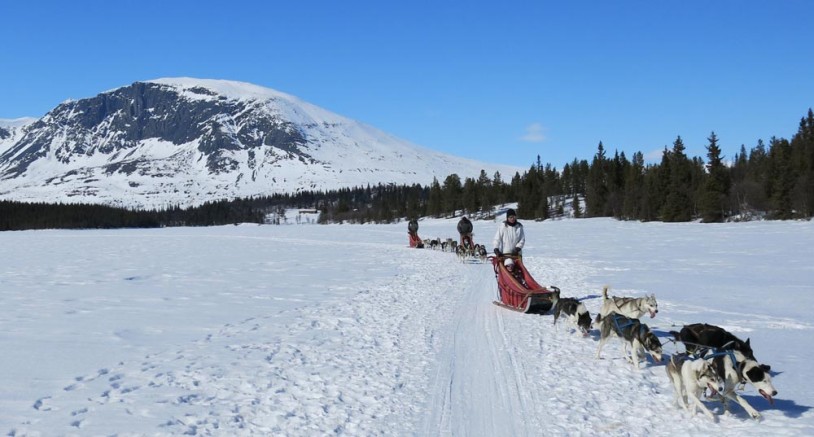 4. Hundekjøring i Hemsedal