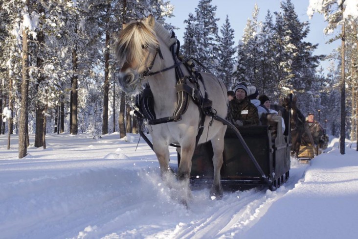 10.Koselig kanefart i Trysil