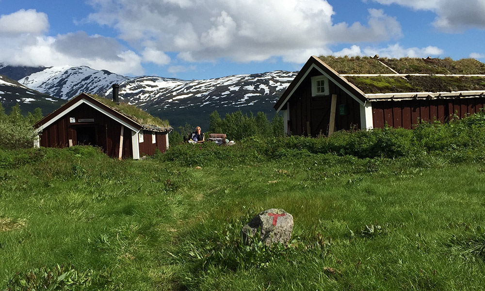 Grønne lier og hvite topper preger det norske høyfjellet. Foto: Mette Øinæs Habberstad/DNT