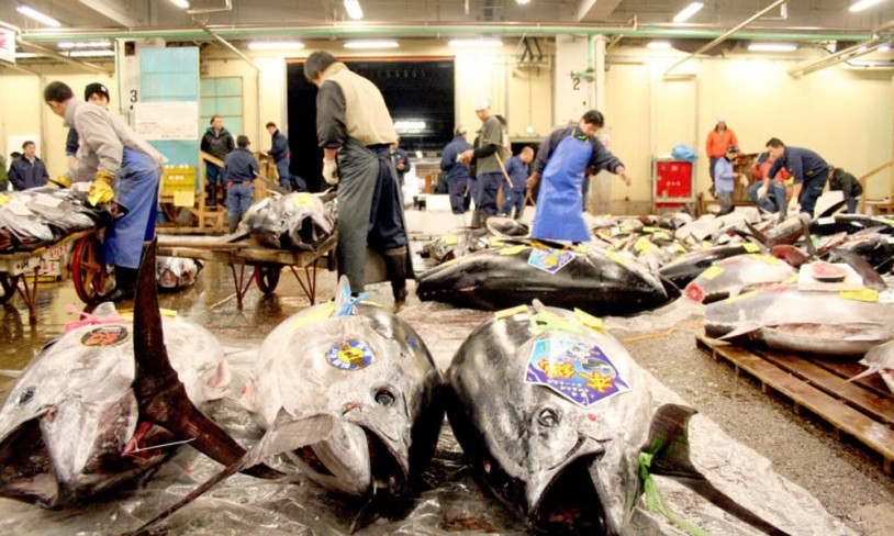 7. Tsukiji fiskemarked 