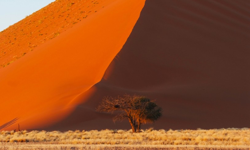 27. Roadtrip i ørkenen - Namibia