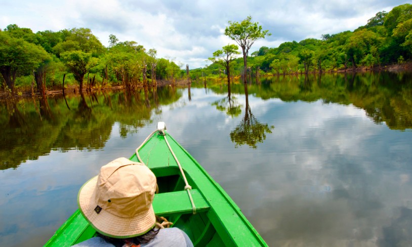 23. Grønn glede i Amazonas - Brasil og Peru