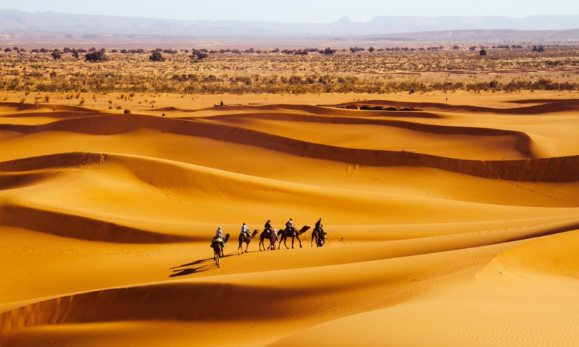 14. Stille ørkenliv - Sahara, Marokko