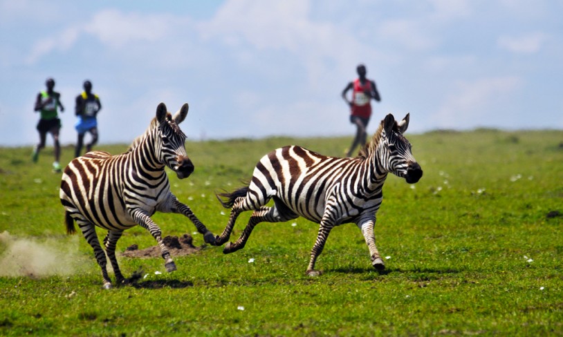 5. Safarimaraton