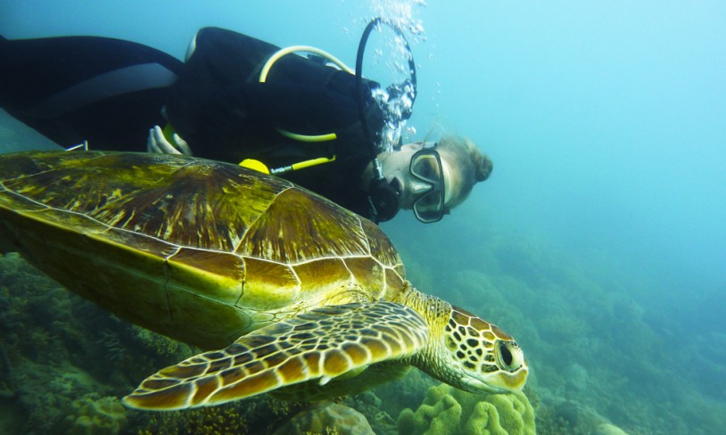 4. Whitsunday Islands og Great Barrier Reef