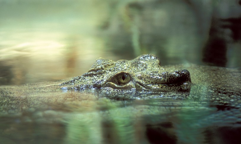 9. Kakadu nasjonalpark