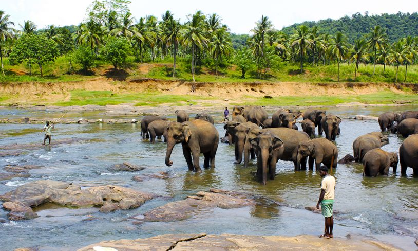 31. Sri Lanka