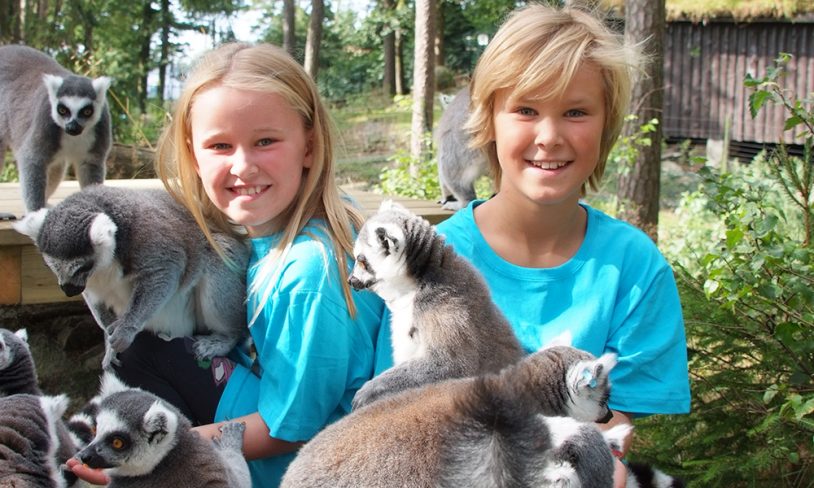 3. Kristiansand Dyrepark feirer 50 år