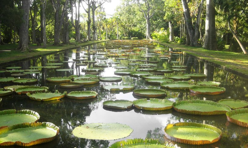 7. Vakker botanisk hage