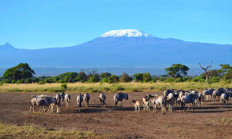 11. Opplev Afrika innenfra