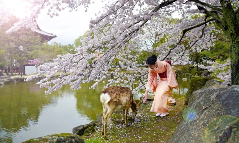 2. JAPAN – vår nye favoritt i Østen