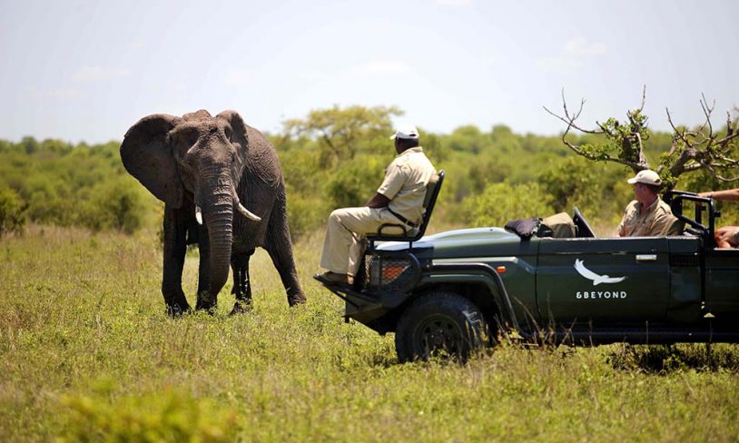 21. Ngala Safari Lodge