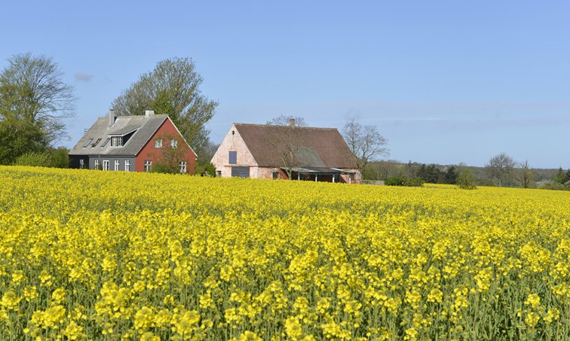 5. Gourmetriket Bornholm