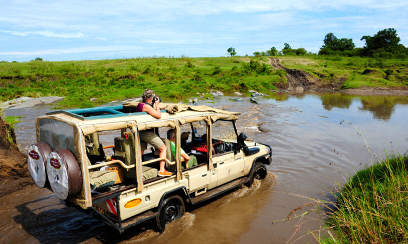 AFRIKAS 10 BESTE SAFARIER