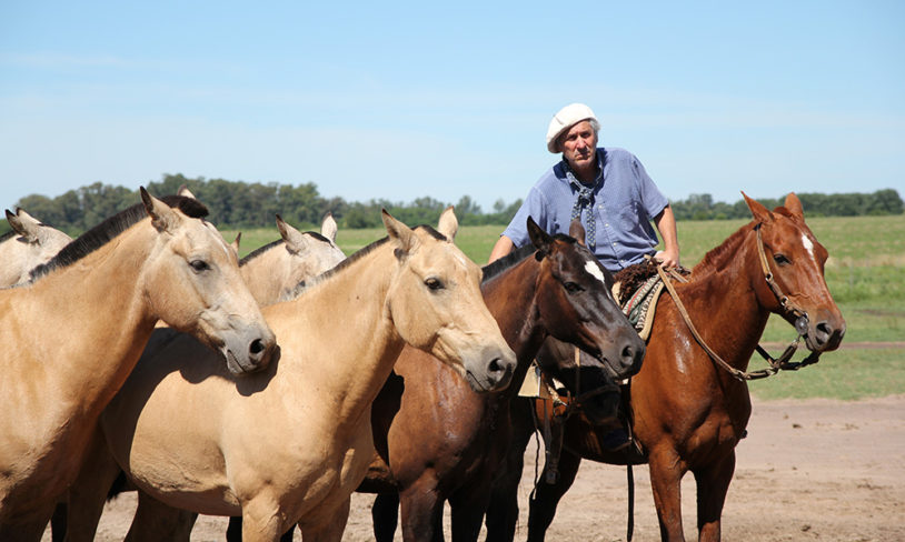 7. Cowboylivet