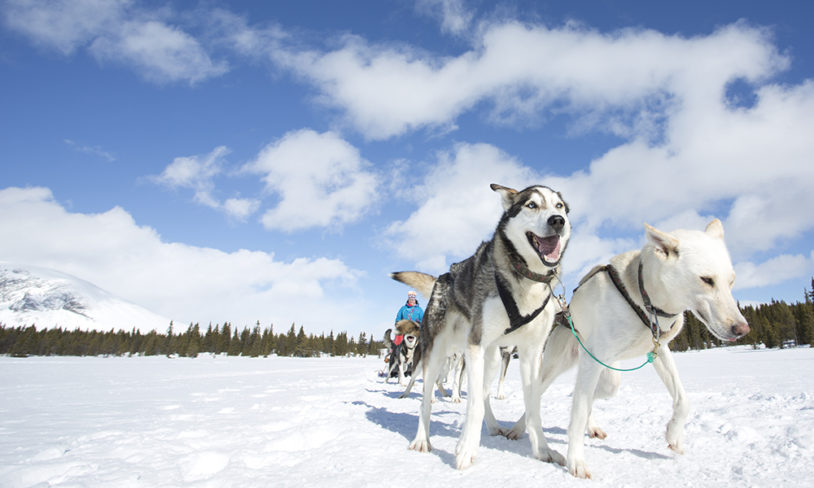 10 morsomme vinteraktiviteter uten ski på bena