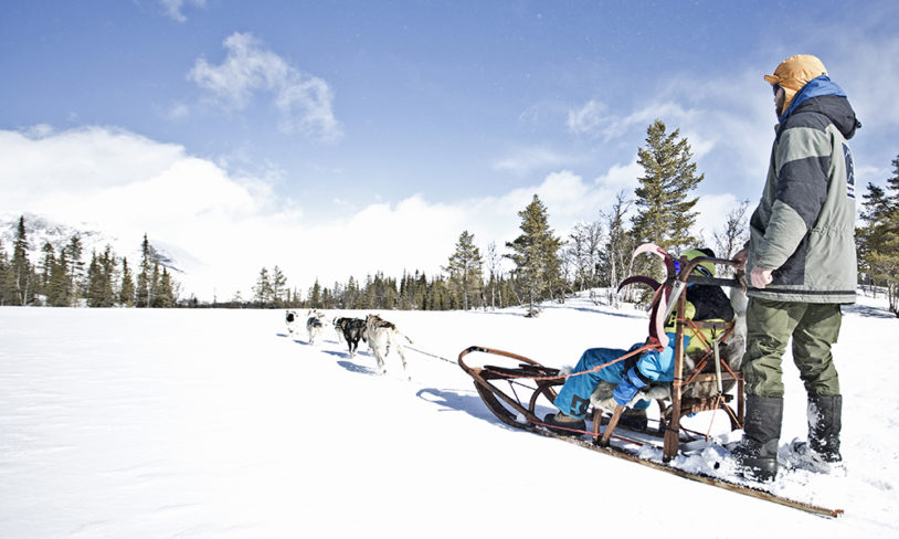 6. Hundekjøring, Hemsedal