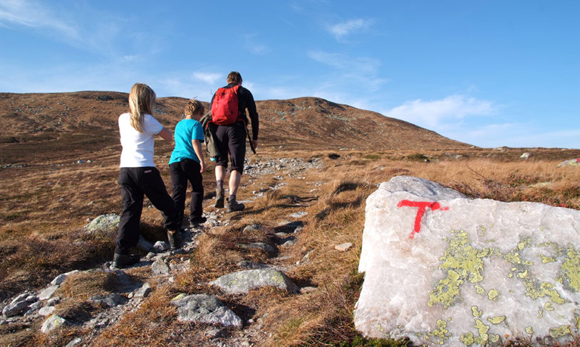 4. Hardangervidda