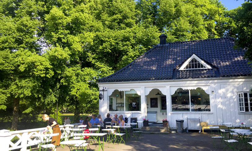 3. Anne på landet