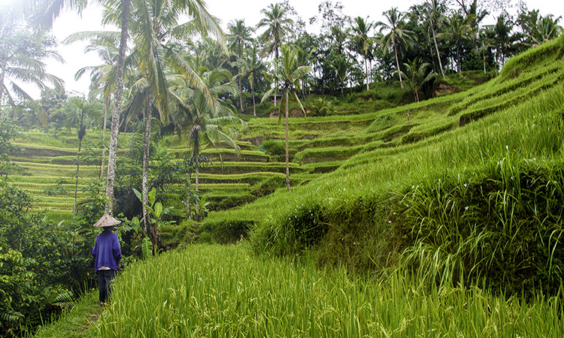 13. Bali, Indonesia