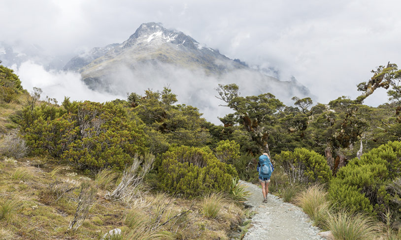 2. Sørøya, New Zealand