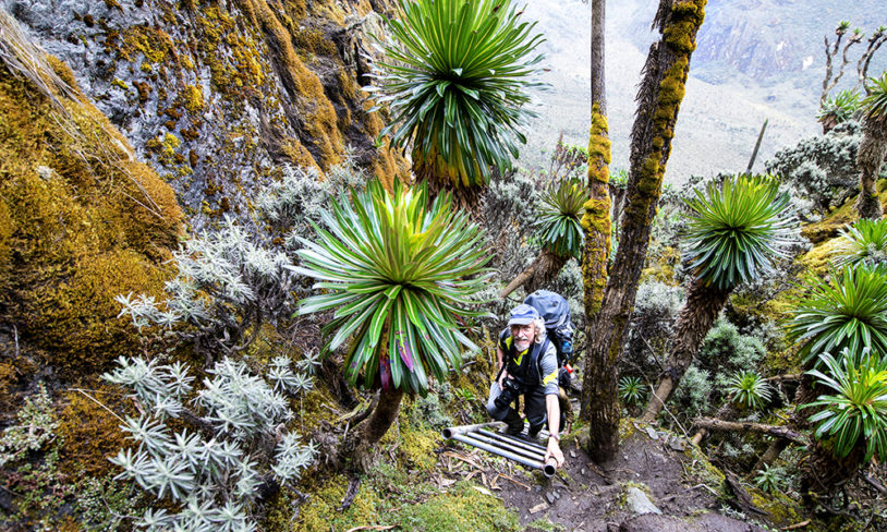 4. Rwenzori, Uganda