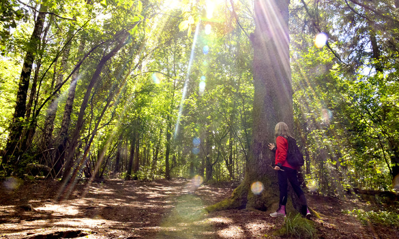 5. Skogsbading i Ekebergparken 