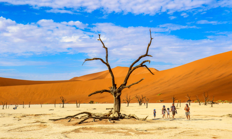 10 Ørkensafari i Namibia
