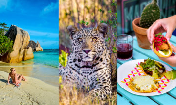 strand, leopard og taco