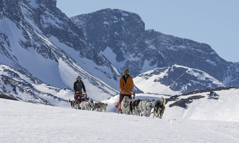 7 Hundekjøring i Jotunheimen