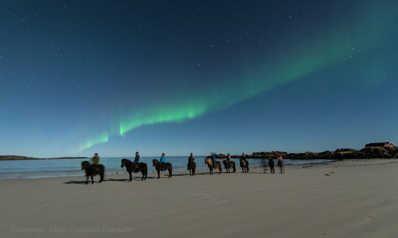 8 Nordlyssafari fra hesteryggen