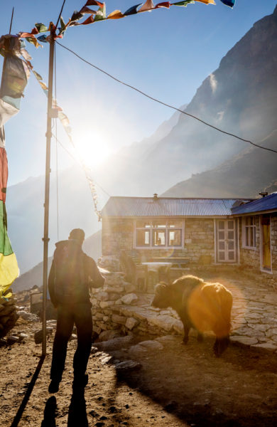 Nepalsk gård med jakokse